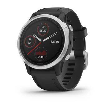 Спортивные часы Garmin Fenix 6S Silver with Black Band 010-02159-01