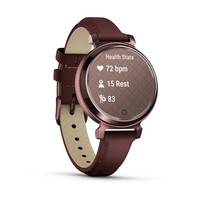 Фото Смарт-часы Garmin Lily 2 Classic Dark Bronze with Mulberry Leather Band 010-02839-03
